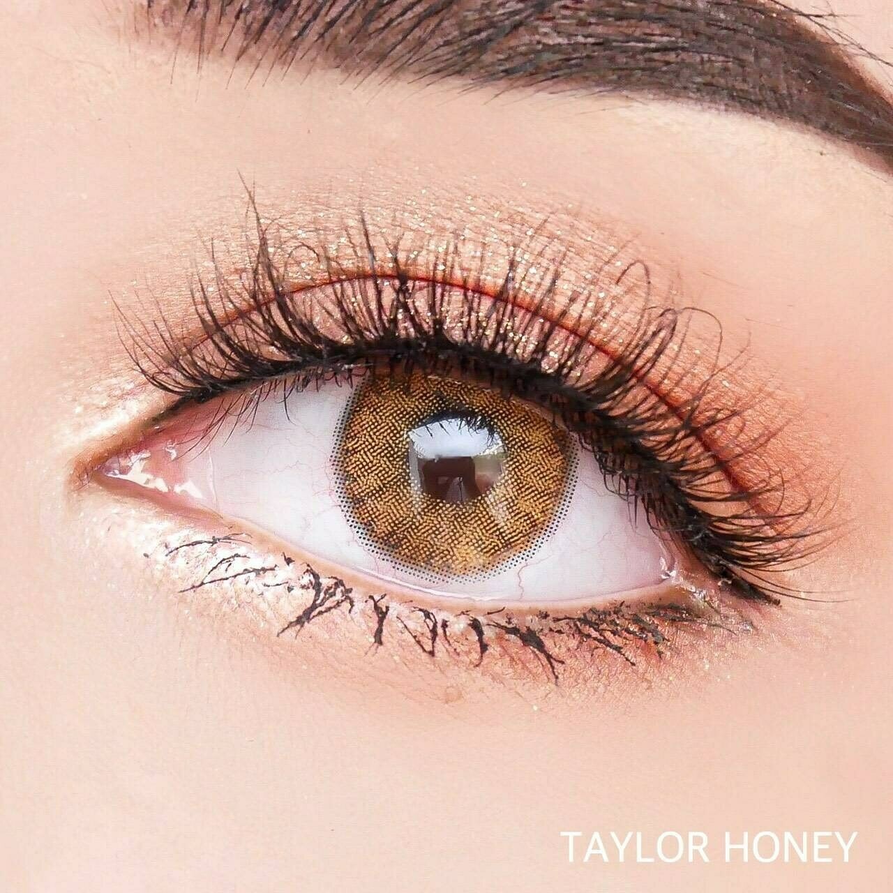 Taylor Honey Brown