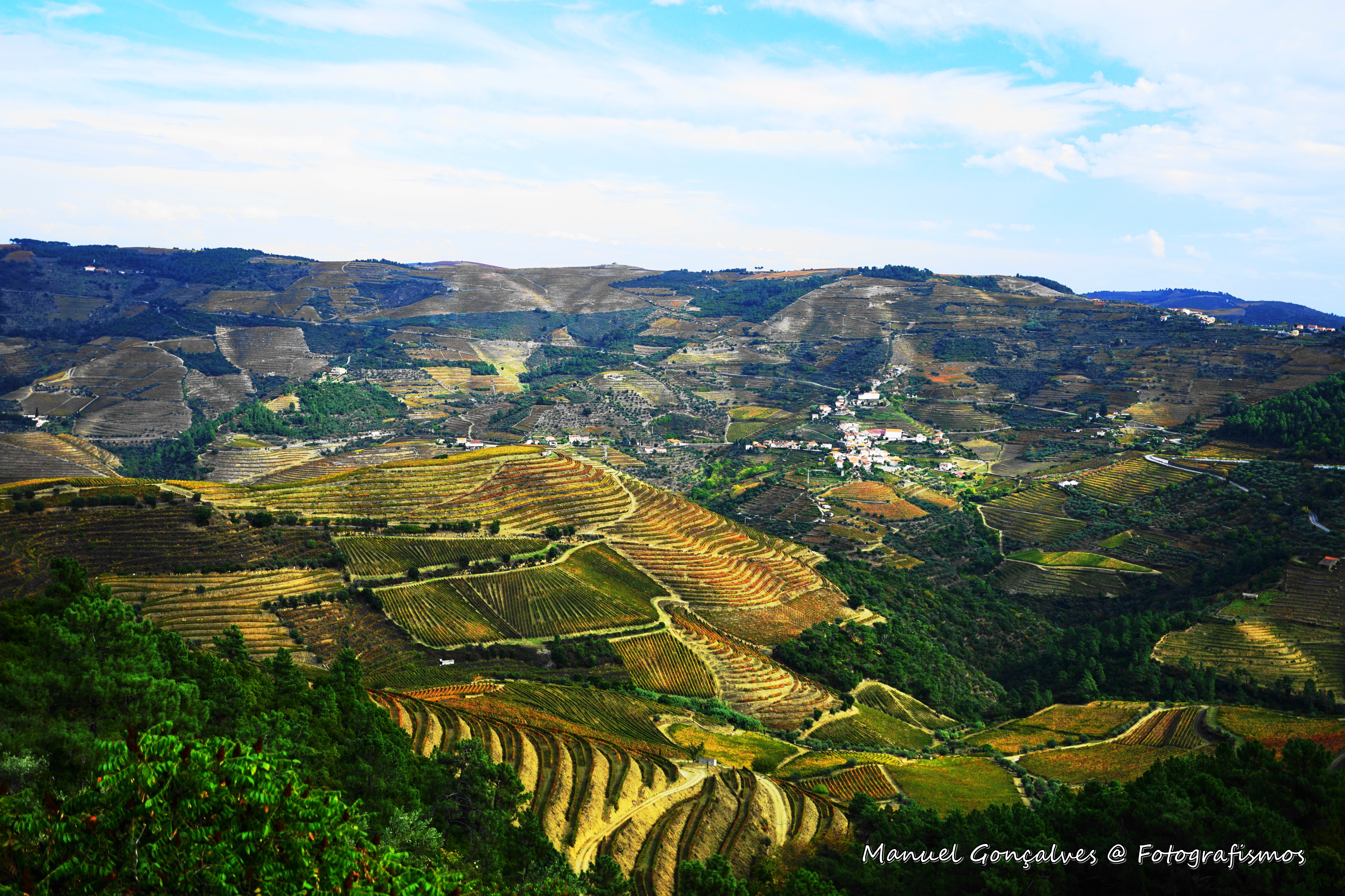 DOURO VALLEY TOUR 00005