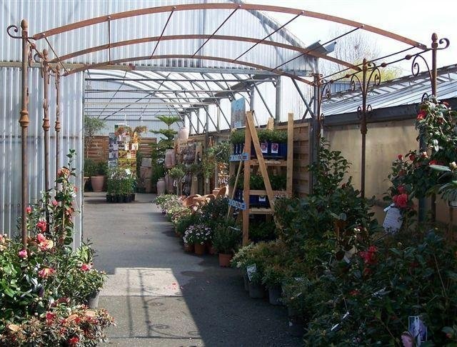 Pergola en fer forgé