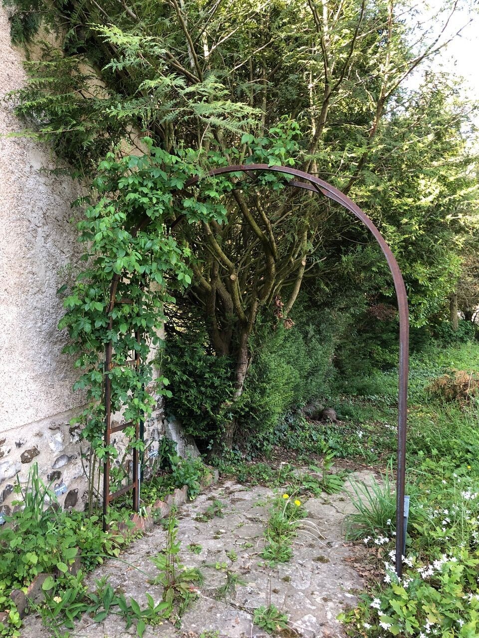 arches en fer forgé pour plantes grimpantes, tunnels,topiaires ,décoration  de jardin