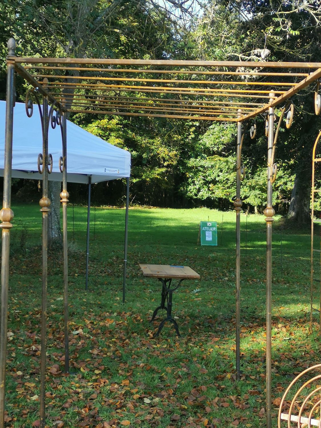 pergola en 3 x2 m spéciale pour raisins ,plates grimpantes