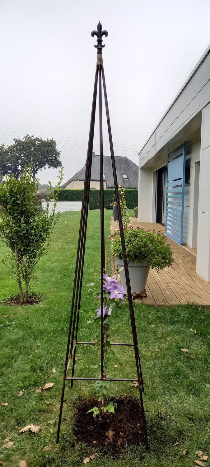 topiaire,tuteur, décor fleur de lys ,sur mesure