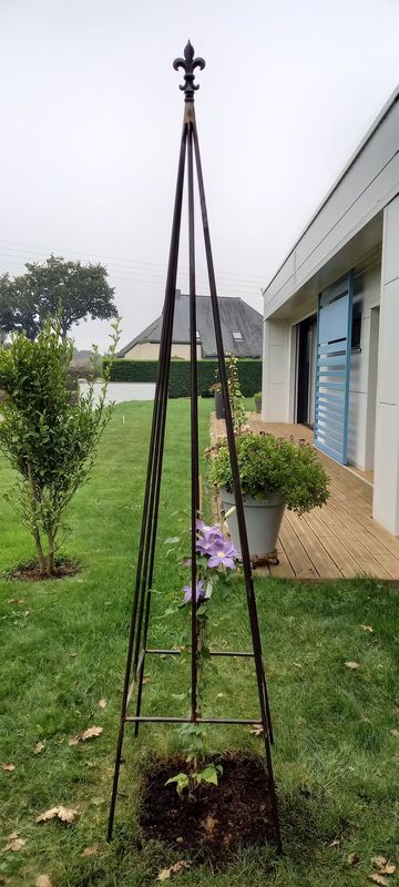 topiaire,tuteur, décor fleur de lys ,sur mesure