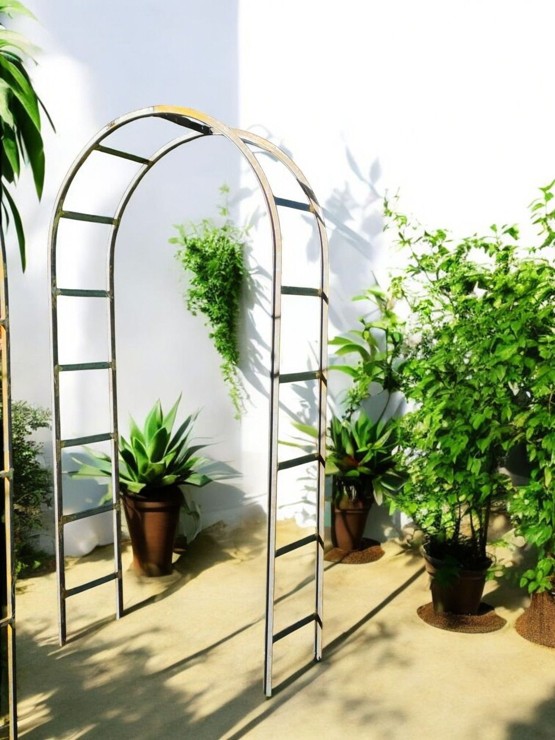 arche pour plantes grimpantes en cornière
