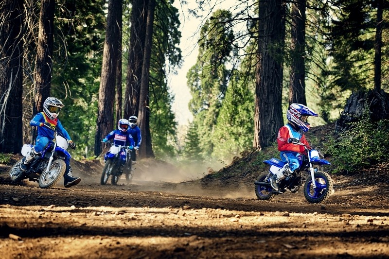 YAMAHA PW50