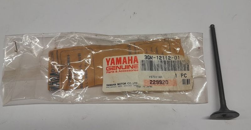 3GM-12112-01 VALVE, INTAKE 2 YAMAHA FZR1000 GTS1000