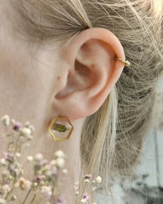 LEAVES: studs goud