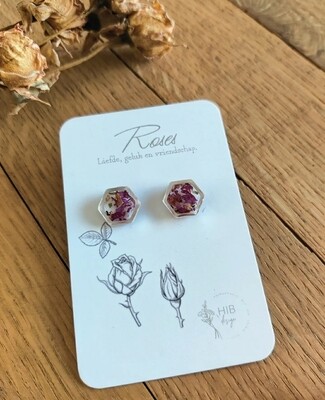 Roses: studs zilver