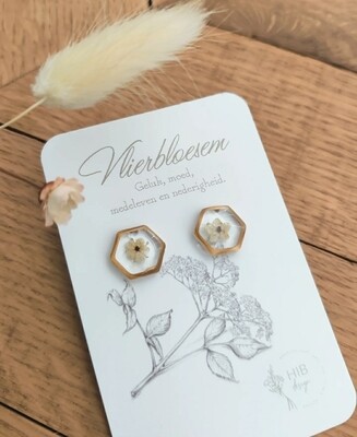 Elderflower: studs
