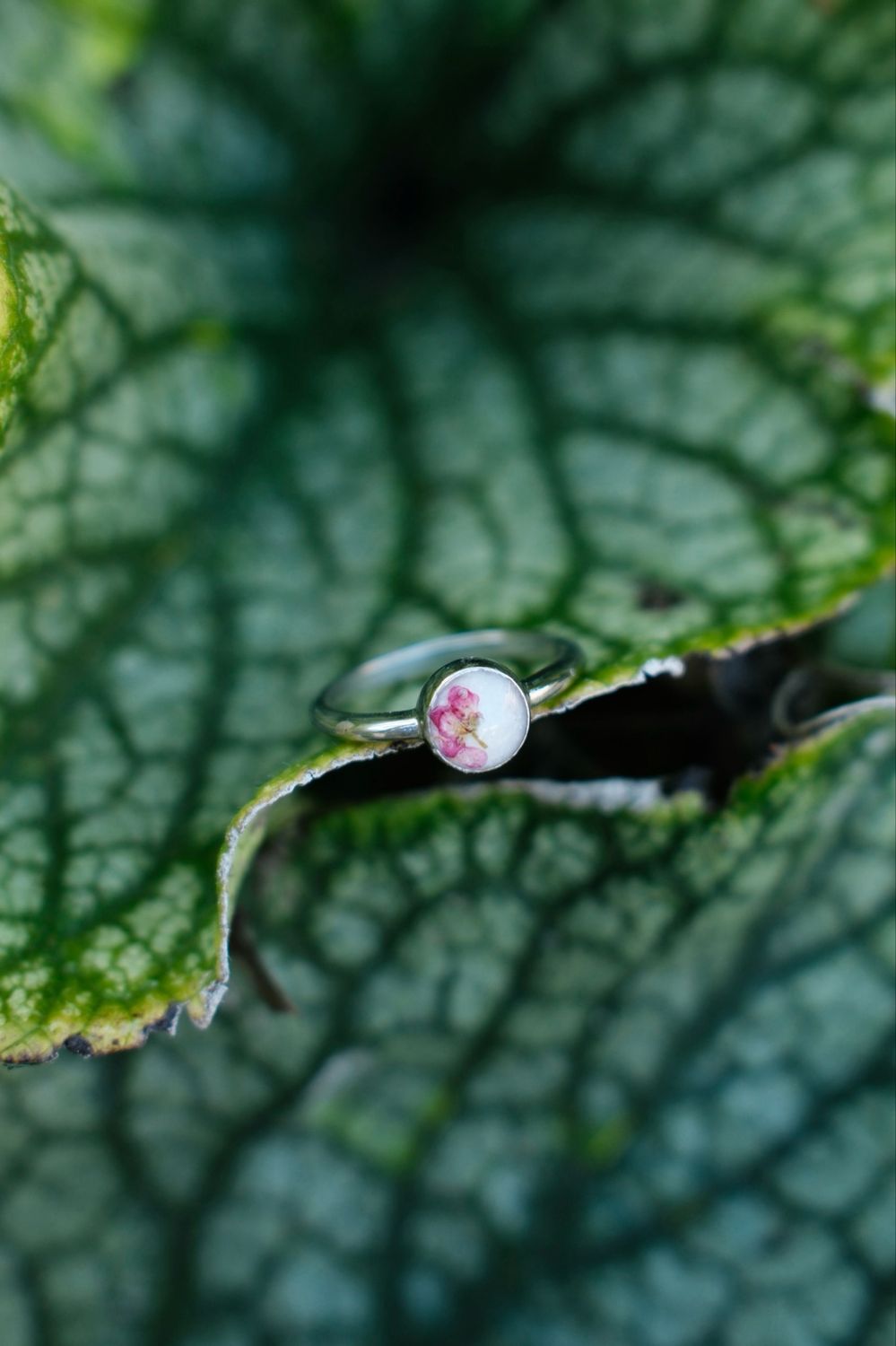 Moedermelk ring: Queen Anne’s Lace 8mm