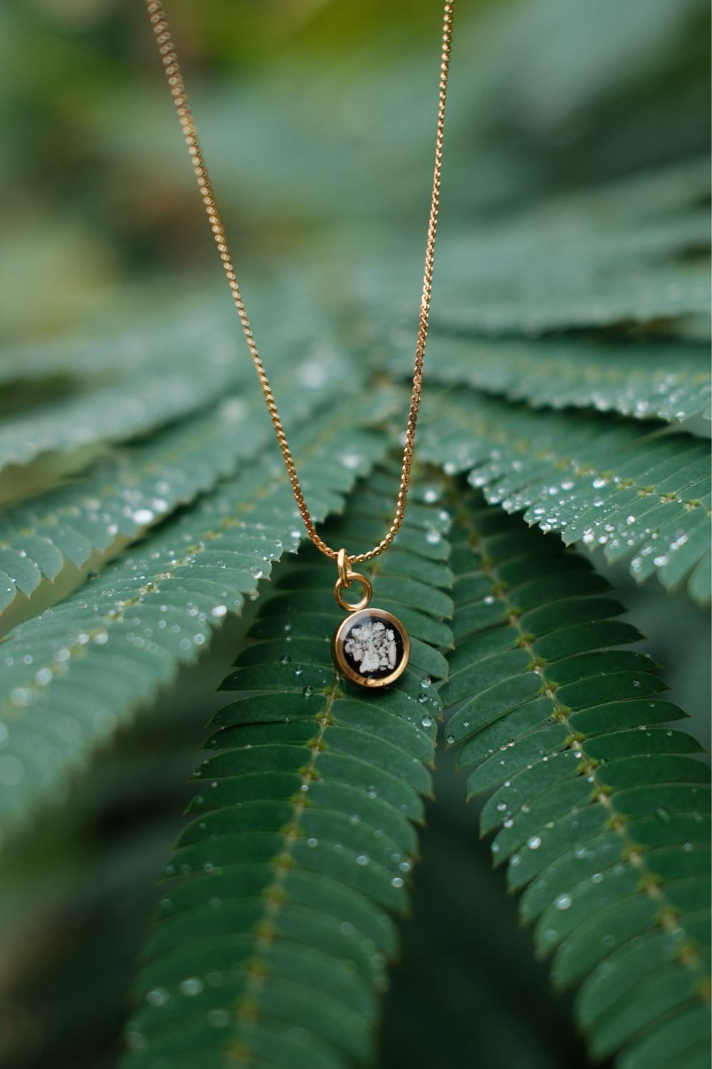 Asketting rond zwarte achtergrond: 6mm
