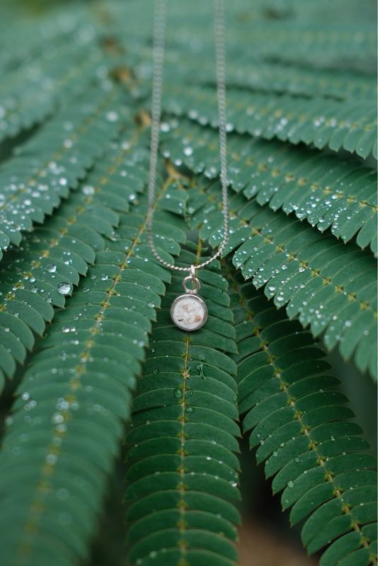 Asketting rond: 6 mm wit