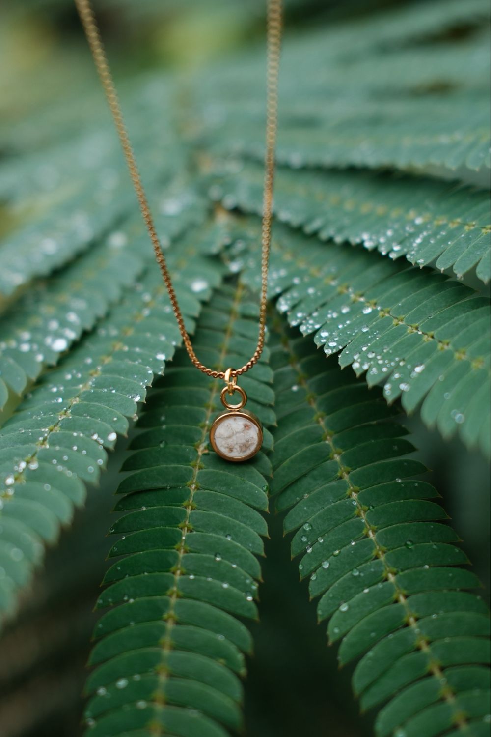 Asketting rond witte achtergrond: 6mm
