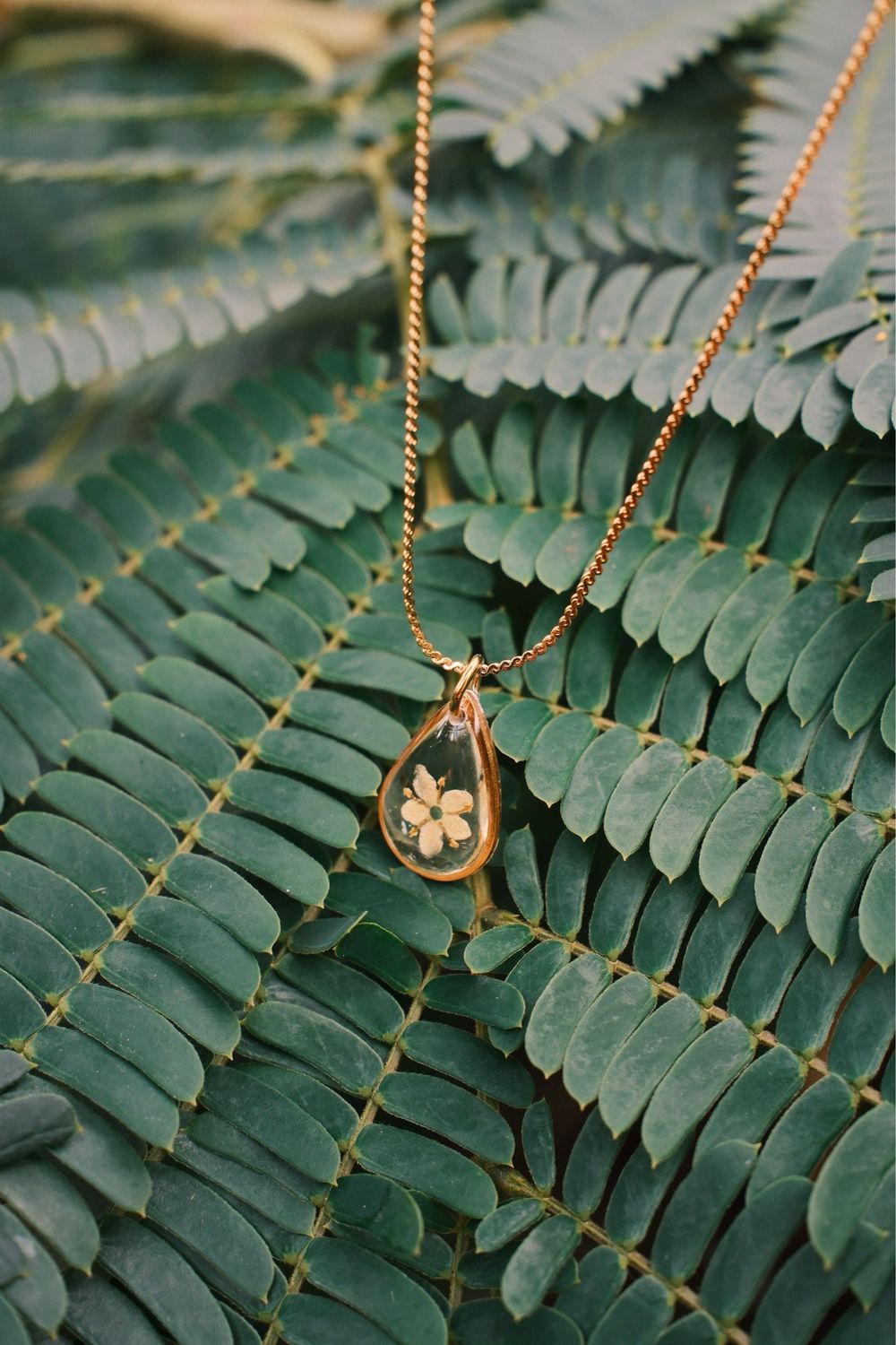 Elderflower: ketting goud drop