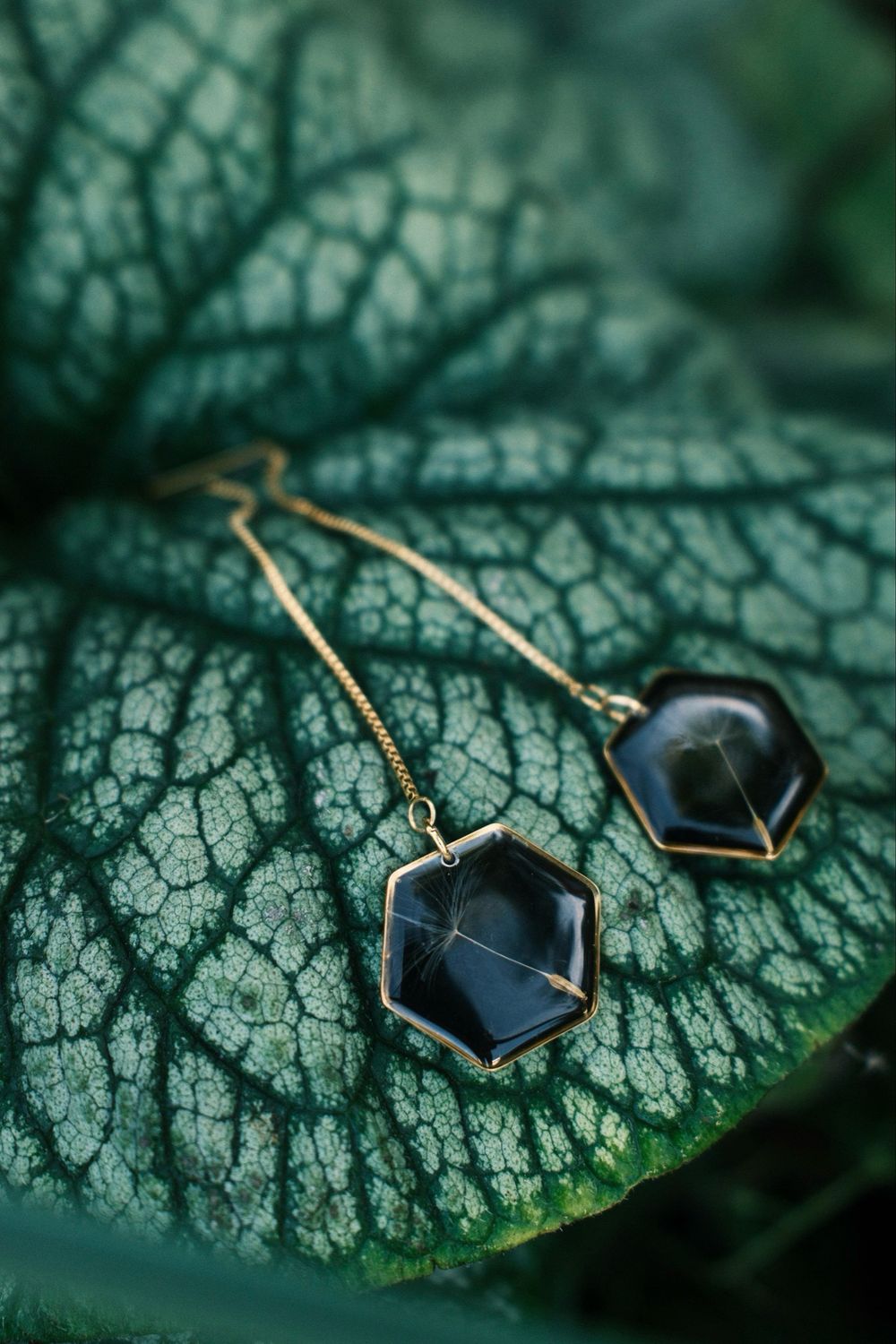 Dandelion: oorslingers hexagon