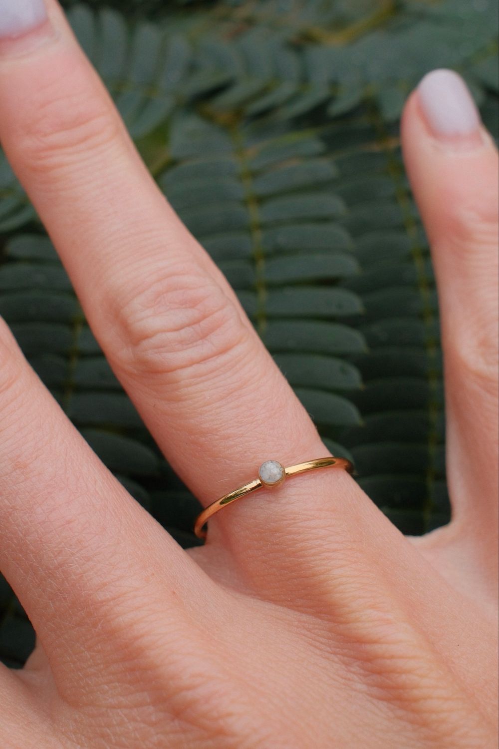 Asring: neutraal 4mm