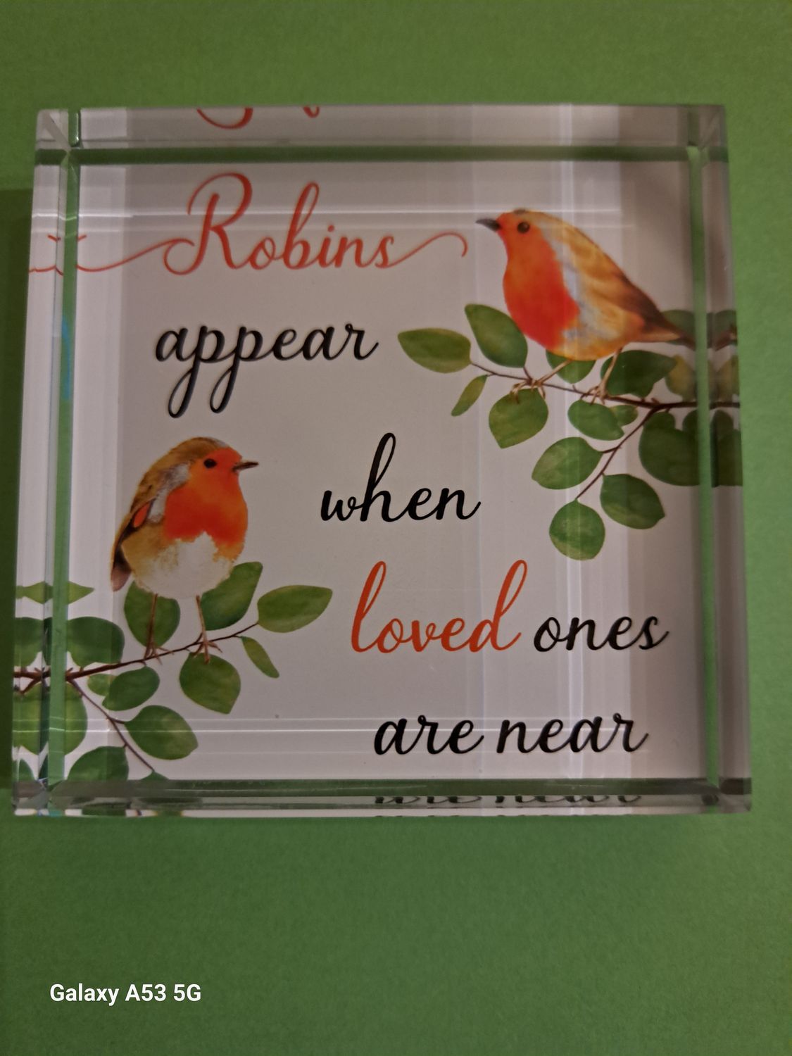 Glass block paperweight: Robins