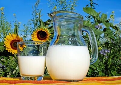 Raw Goat Milk Half Gallons - Prepay/Reserve