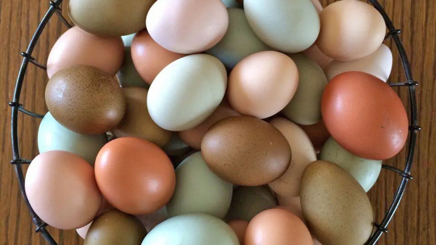 Non-GMO Free-Range Eggs - Prepay/Reserve