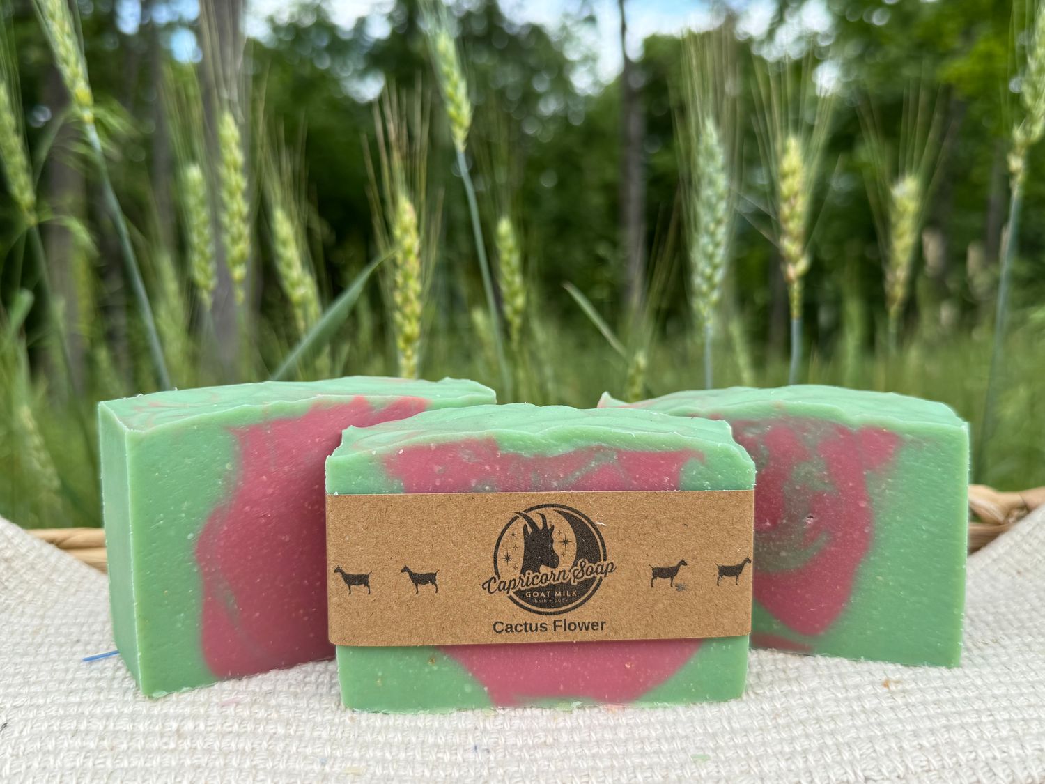 Goat Yogurt Soap: Cactus Flower