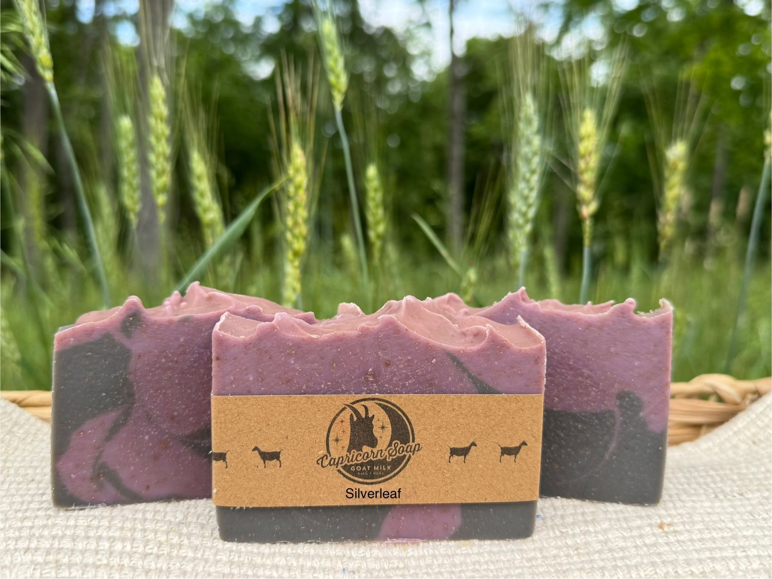 Goat Yogurt Soap: Silverleaf