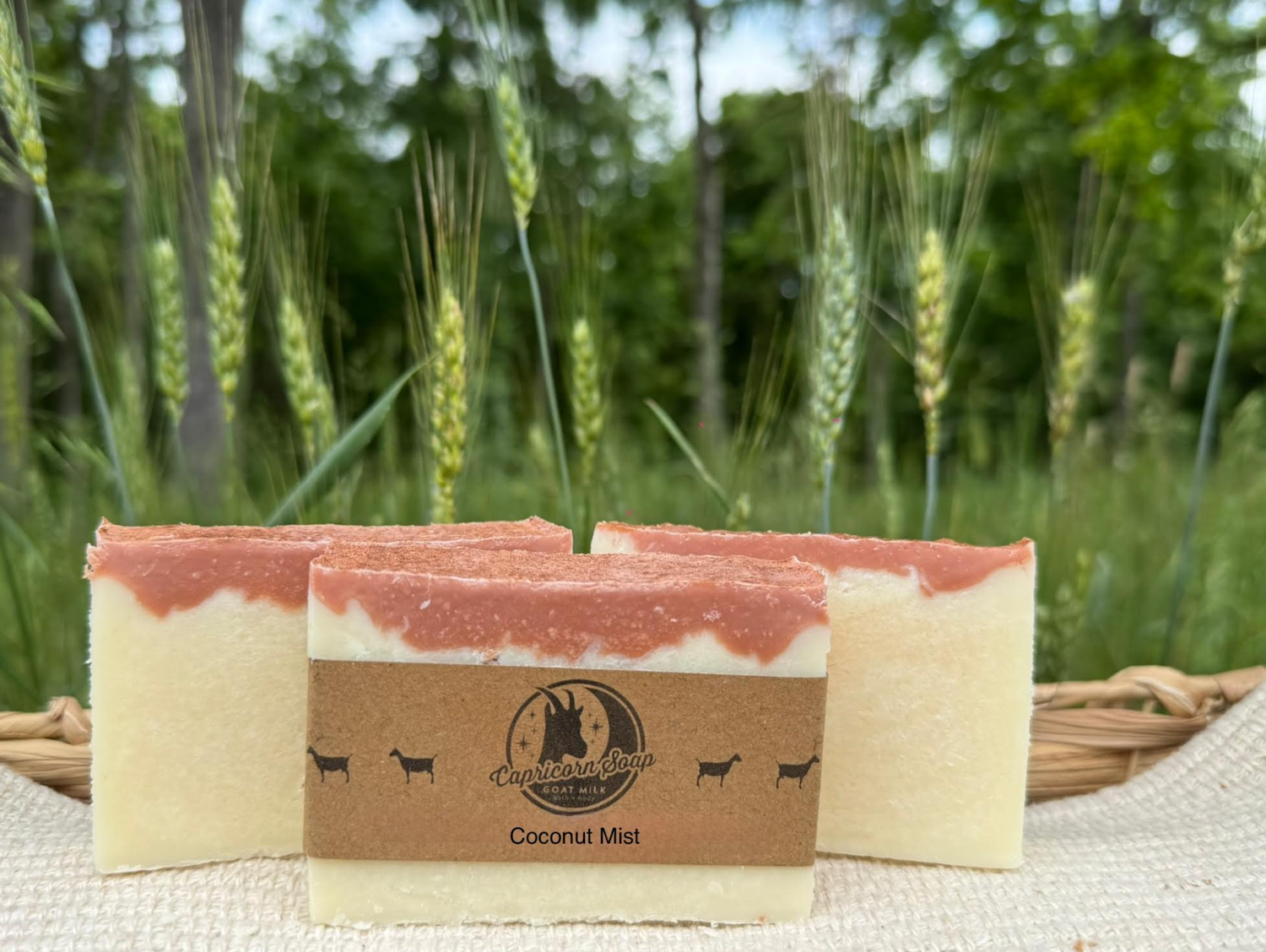 Goat Yogurt Soap: Coconut Mist