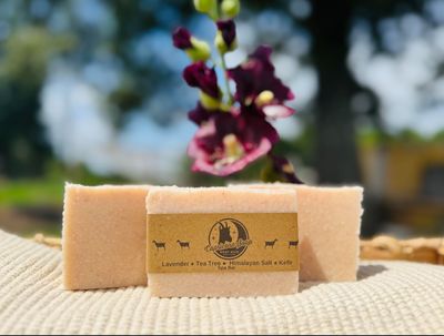 Goat Kefir Soap: Tea Tree &amp; Lavender Spa Bar