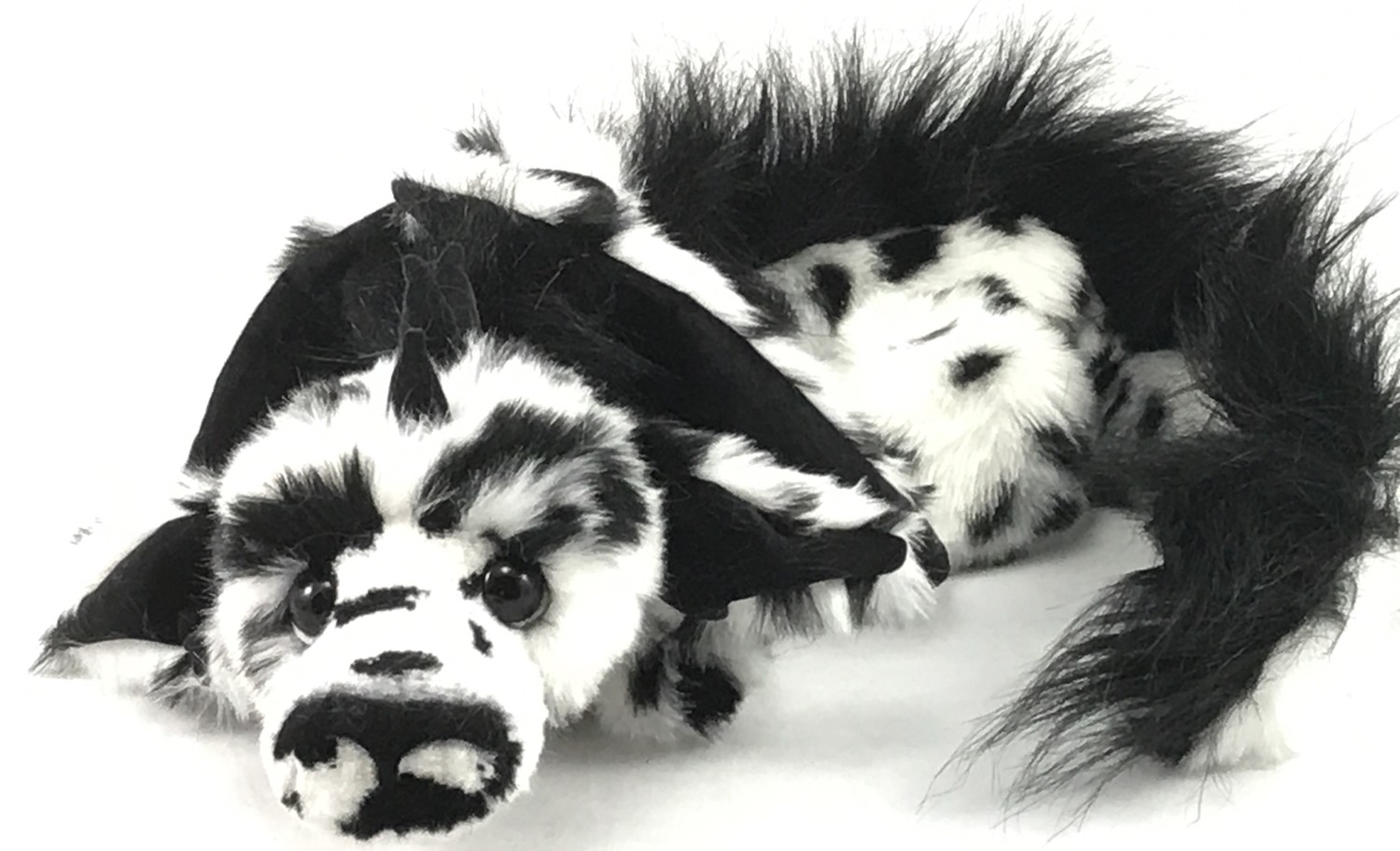 Domino