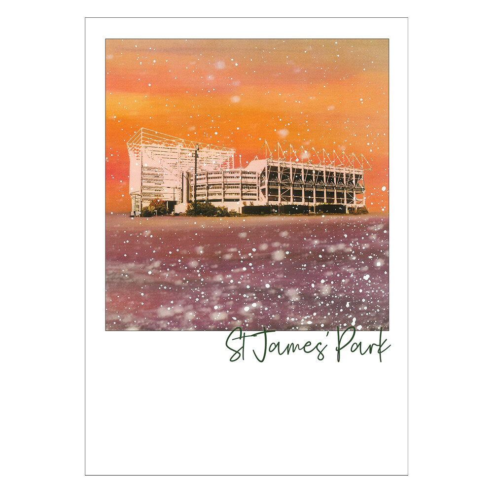 St James' Park Postcard