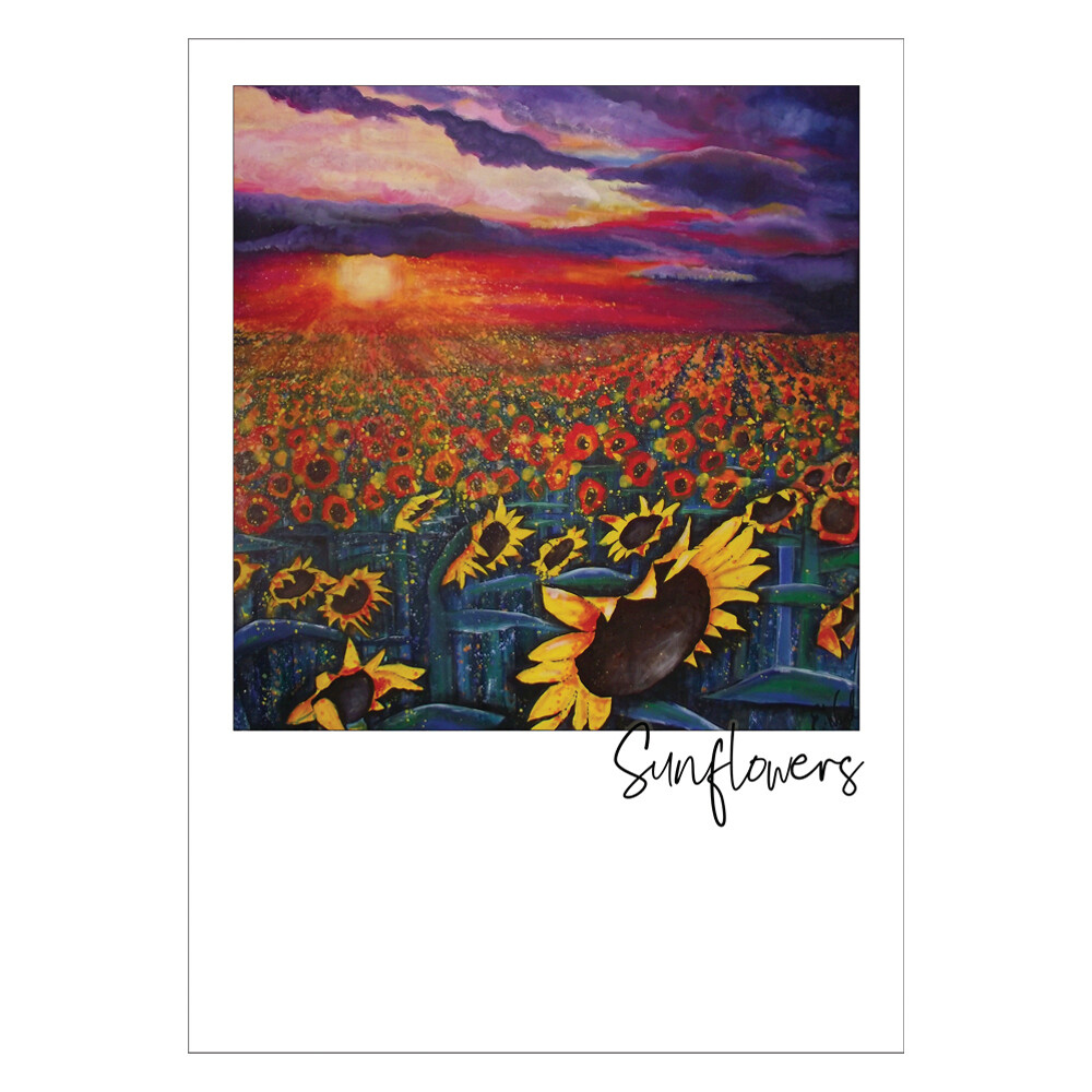 Sun on Sunflowers Postcard