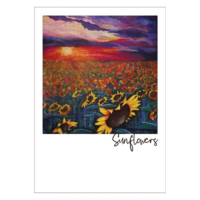 Sun on Sunflowers Postcard