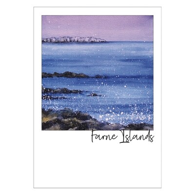 Farne Island Postcard