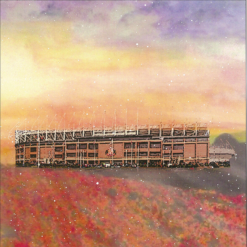 Emily Ward Stadium of Light Canvas Print