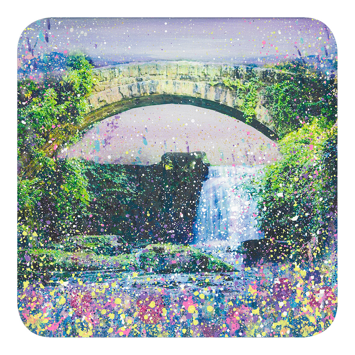 Jesmond Dene Coaster