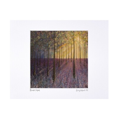 Bluebell Woods Print - Limited Edition