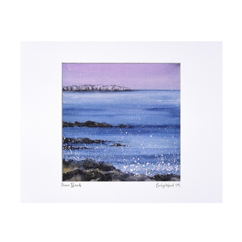 Farne Island Print - Limited Edition