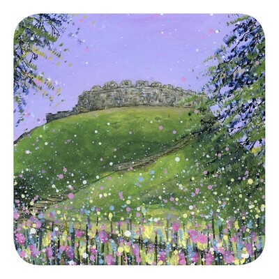 Totnes Castle, Devon Coaster