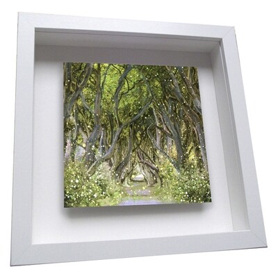 Dark Hedges, Ballymoney  Framed Ceramic Tile