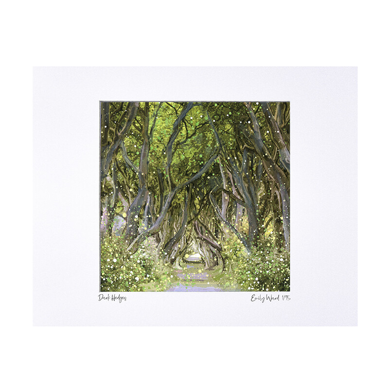 Dark Hedges, Ballymoney Limited Edition Print
