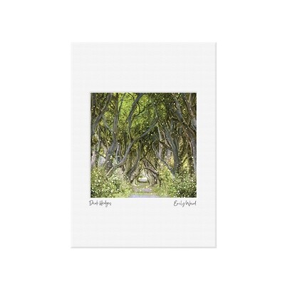 Dark Hedges, Ballymoney Open Edition Print