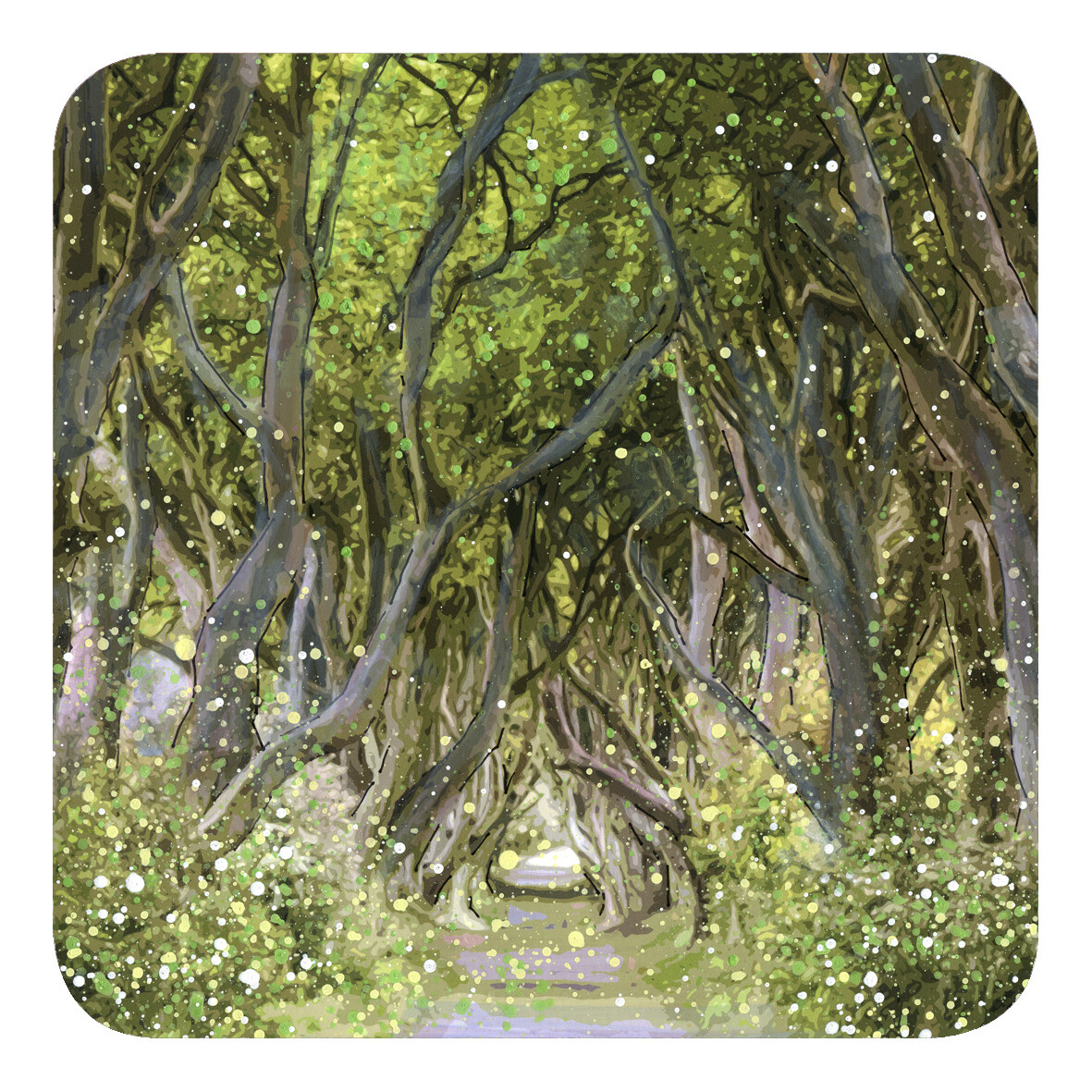 Dark Hedges, Ballymoney Coaster
