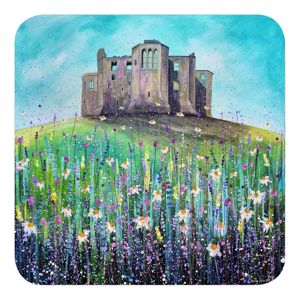 Warkworth Castle Summer Coaster