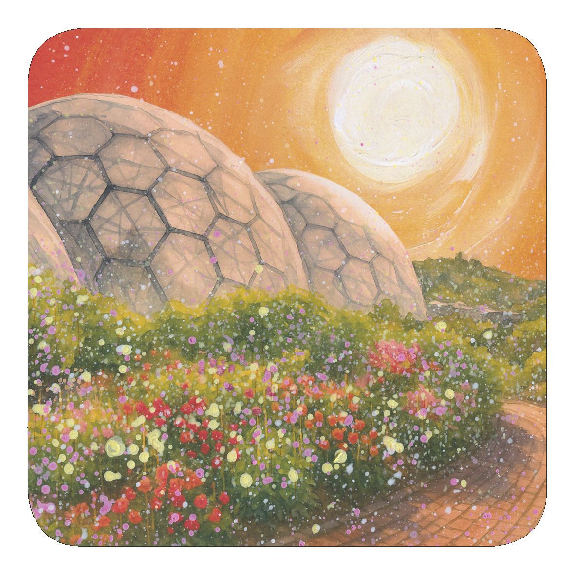 Eden Project Coaster
