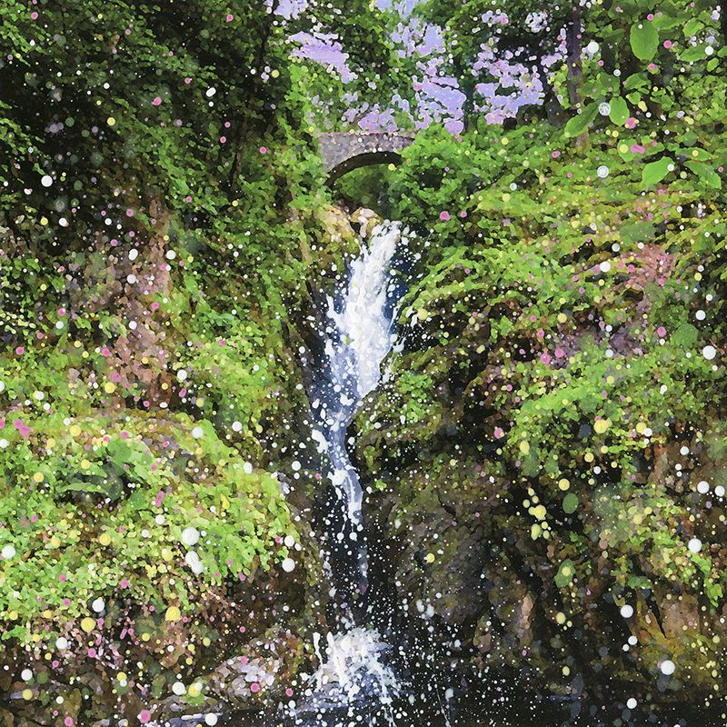 Aira Force Waterfall Canvas Print