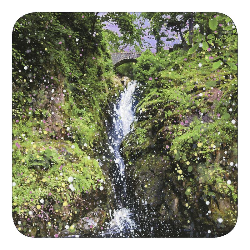 Aira Force Waterfall Coaster