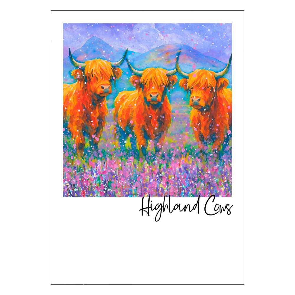 Highland Cows Postcard Highland Cows Postcard