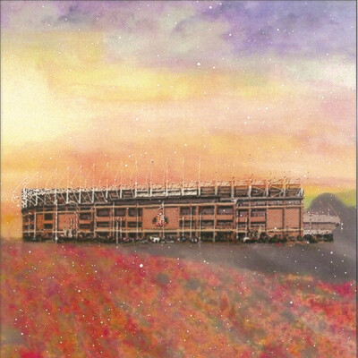 Emily Ward Stadium of Light Canvas Print