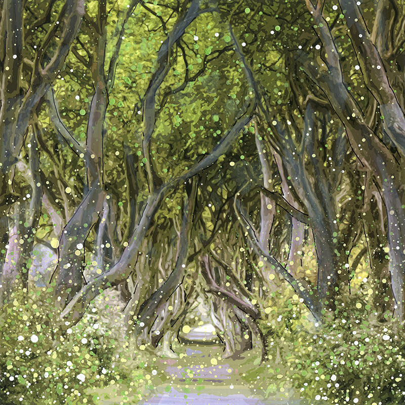 Dark Hedges, Ballymoney Canvas Print