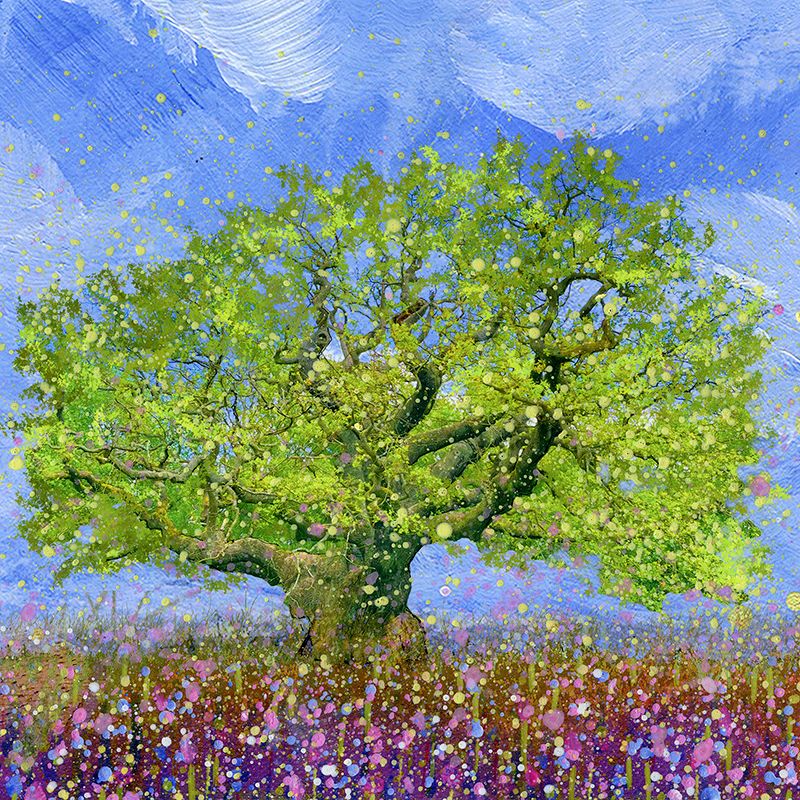 The Major Oak, Sherwood Forest Canvas Print