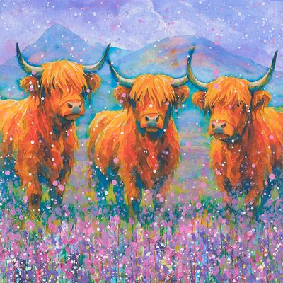 Highland Cows Canvas Print Highland Cows Canvas Print